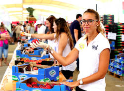 expo verdura frutta