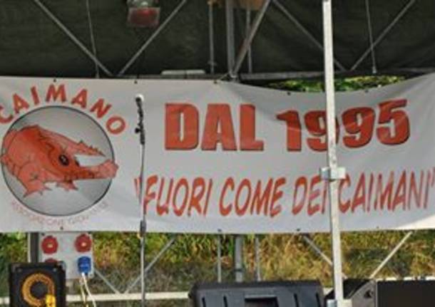 Feste Rete Festival Varese 