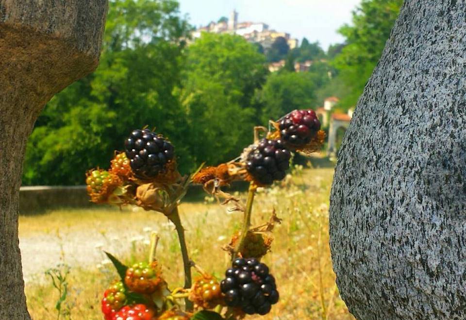 Foto del giorno mese di luglio