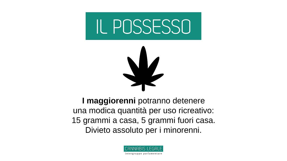 I punti della legge sulla legalizzazione della cannabis