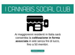 I punti della legge sulla legalizzazione della cannabis