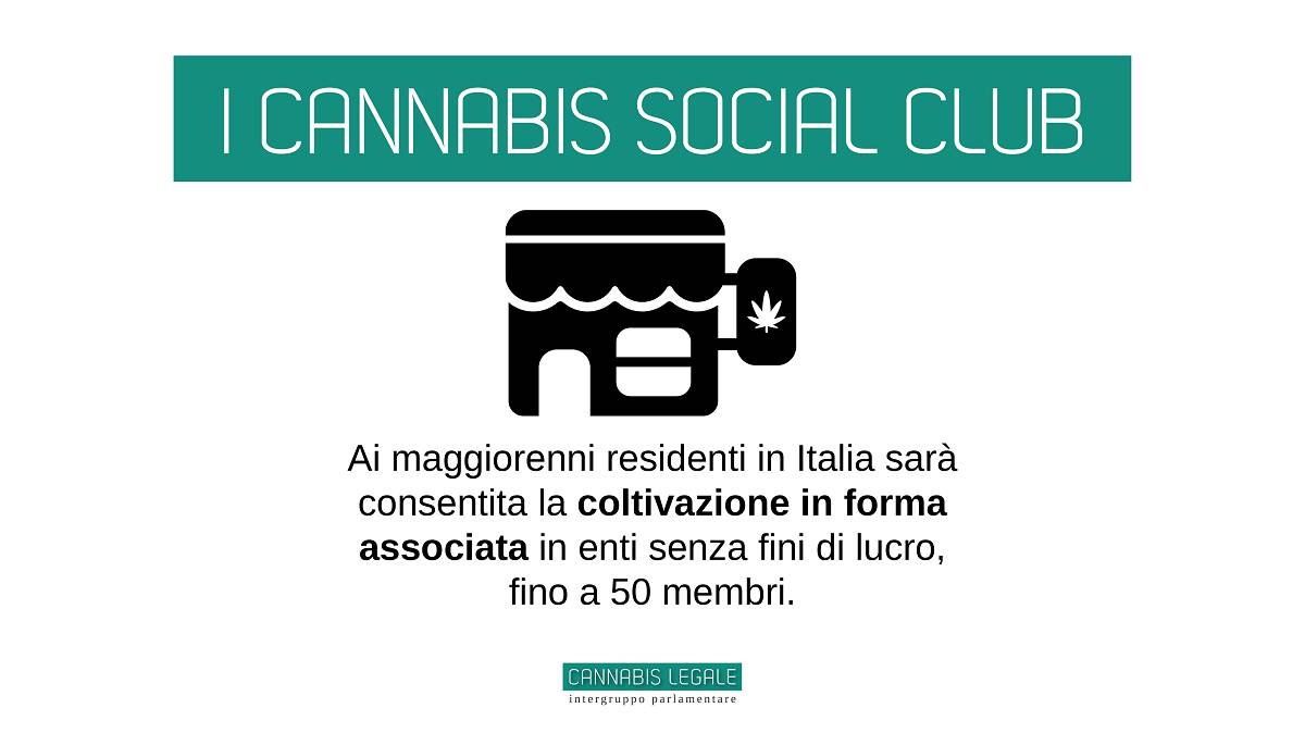 I punti della legge sulla legalizzazione della cannabis