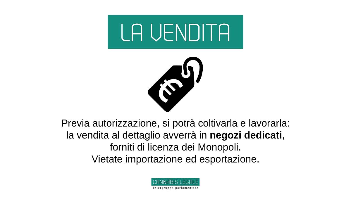 I punti della legge sulla legalizzazione della cannabis