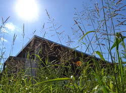 Il palaghiaccio torna a muoversi