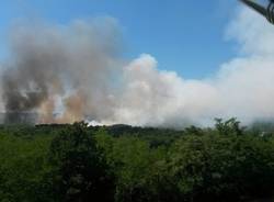 incendio lonate pozzolo sterpaglie