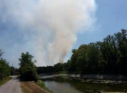 incendio lonate pozzolo sterpaglie