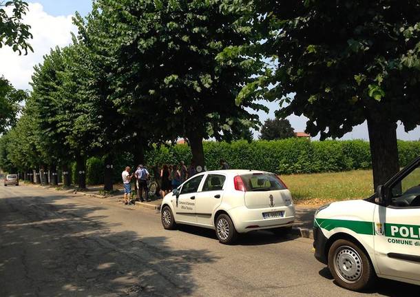 La protesta per i tigli a Samarate