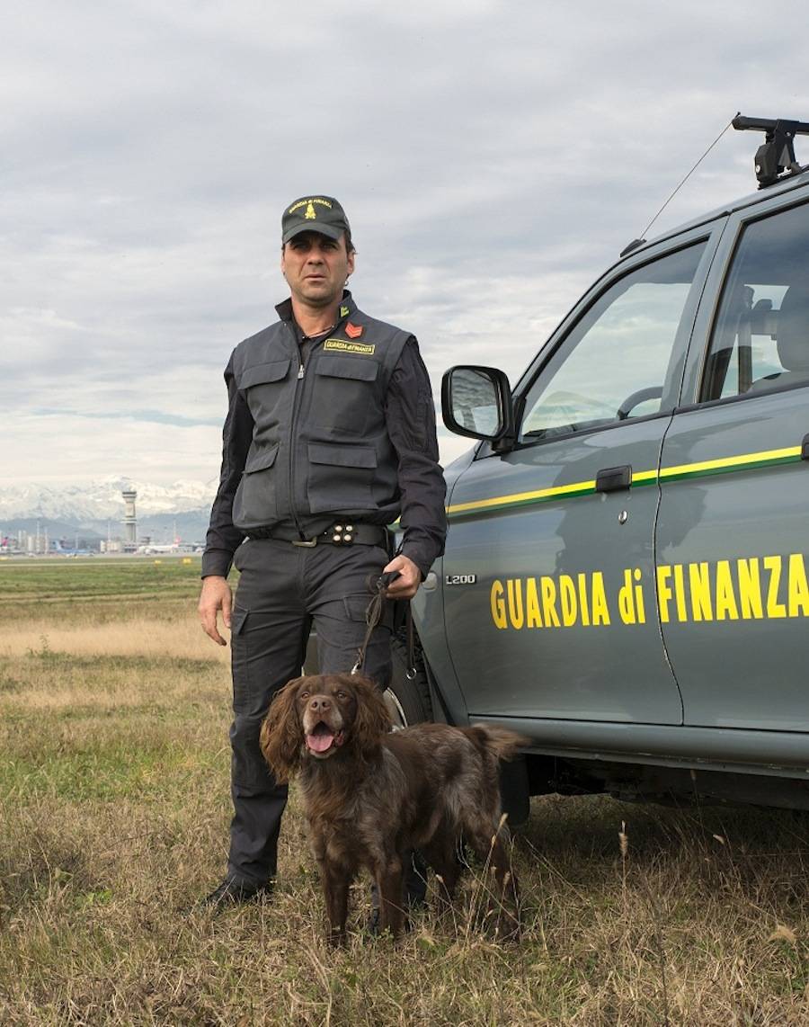 malpensa guardia di finanza cane antidroga