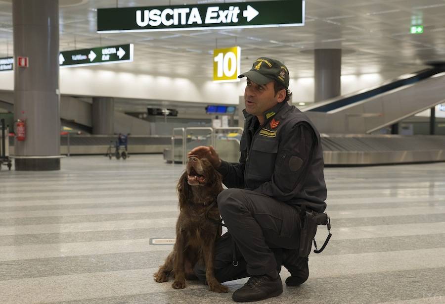 malpensa guardia di finanza cane antidroga