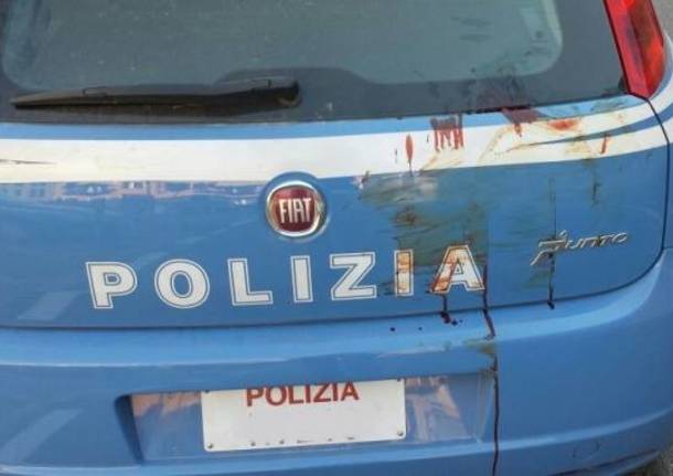 polizia di stato