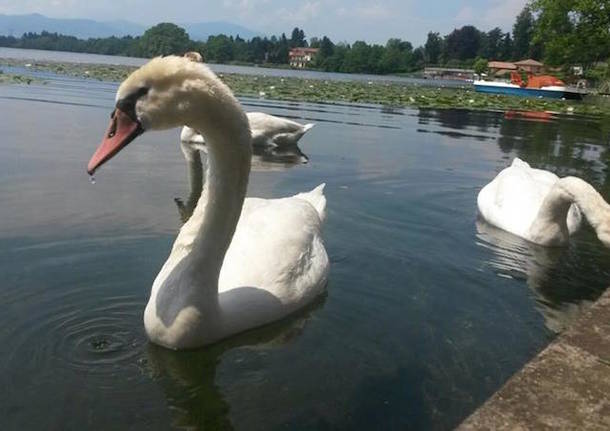 Le spiagge dei lettori