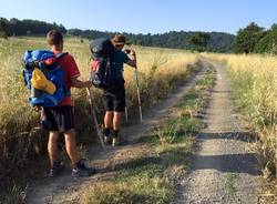 Via Francigena, 17esima tappa: da Bolsena - Montefiascone