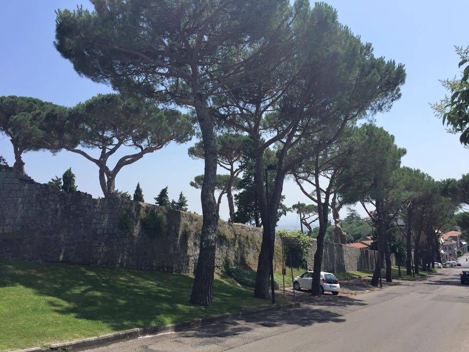 Via Francigena, 17esima tappa: da Bolsena - Montefiascone
