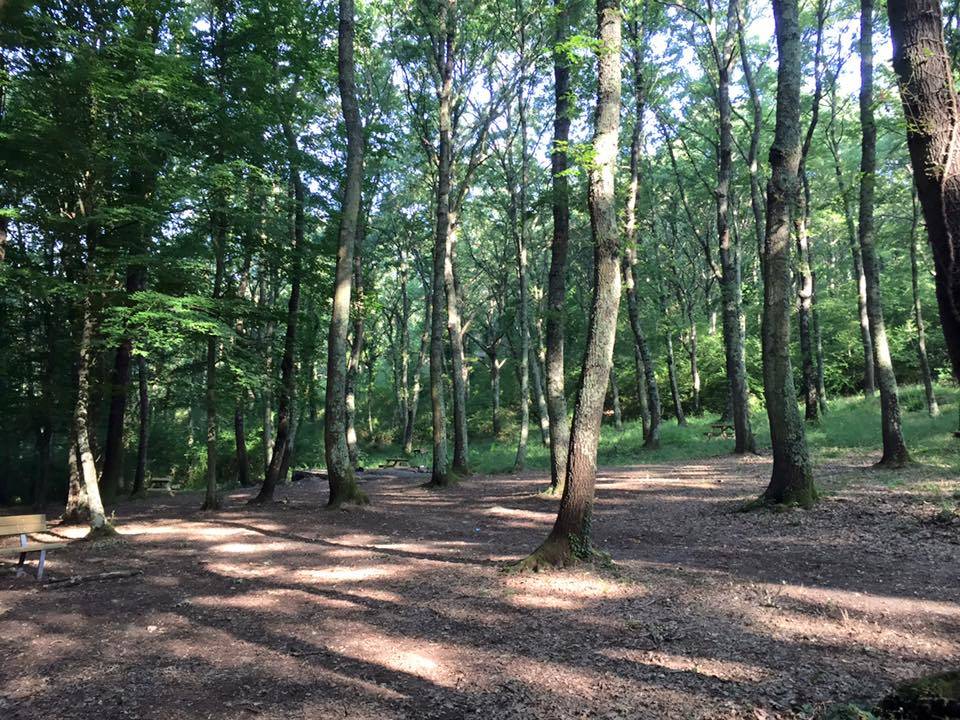 Via Francigena, 17esima tappa: da Bolsena - Montefiascone