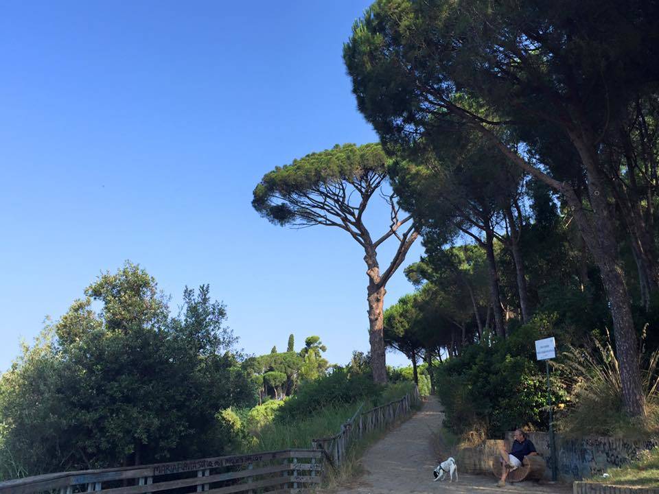 Via Francigena, l'arrivo a Roma