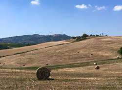 Via Francigena, la tredicesima tappa: da Ponte d'Arbia a San Quirico d'Orcia