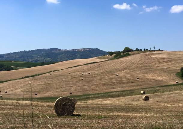 Via Francigena, la tredicesima tappa: da Ponte d'Arbia a San Quirico d'Orcia