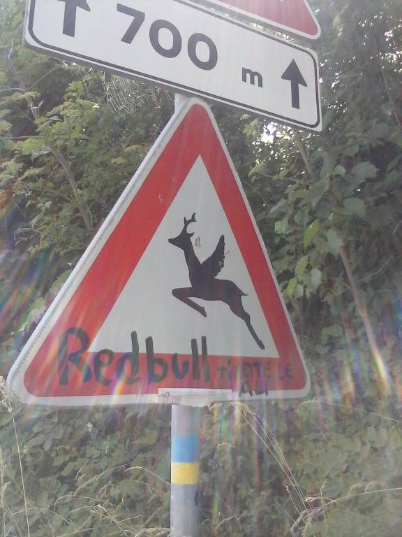 Via Francigena Marco Pinti
