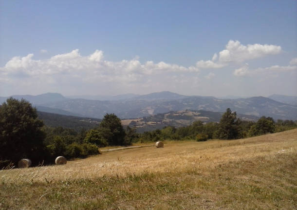 La via Francigena di Marco Pinti