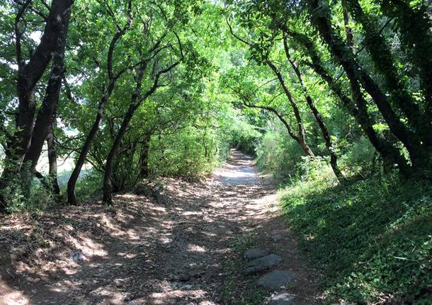 via francigena montefiascone viterbo