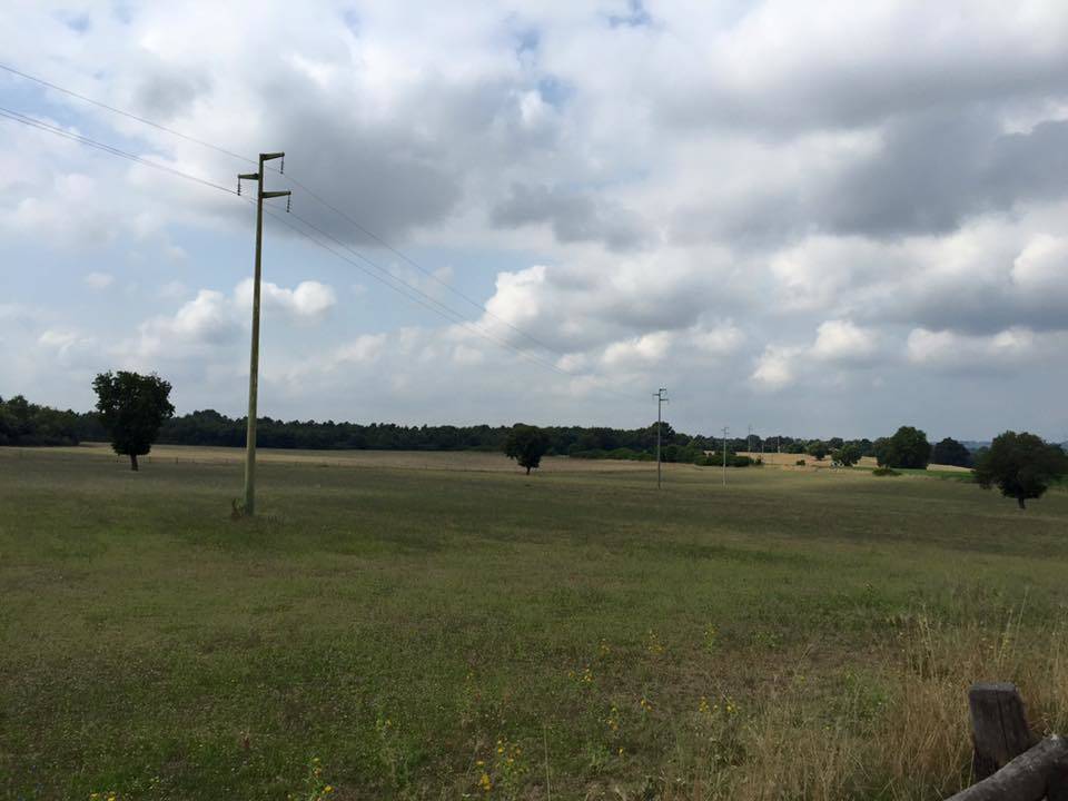 Via Francigena, ventesima tappa: da Sutri a Campagnano