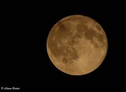 "Blu moon"
