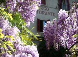 Albergo Ristorante la Madonnina