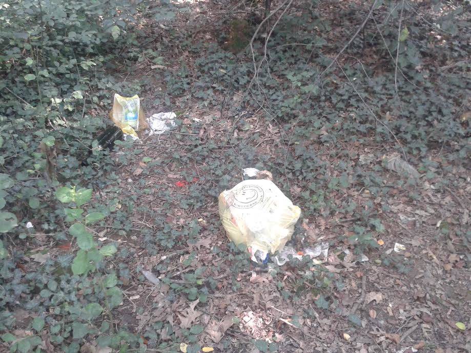 CAMMINARE TRA I RIFIUTI
