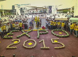 Expo 2015
