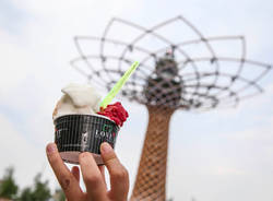festa del gelato, expo