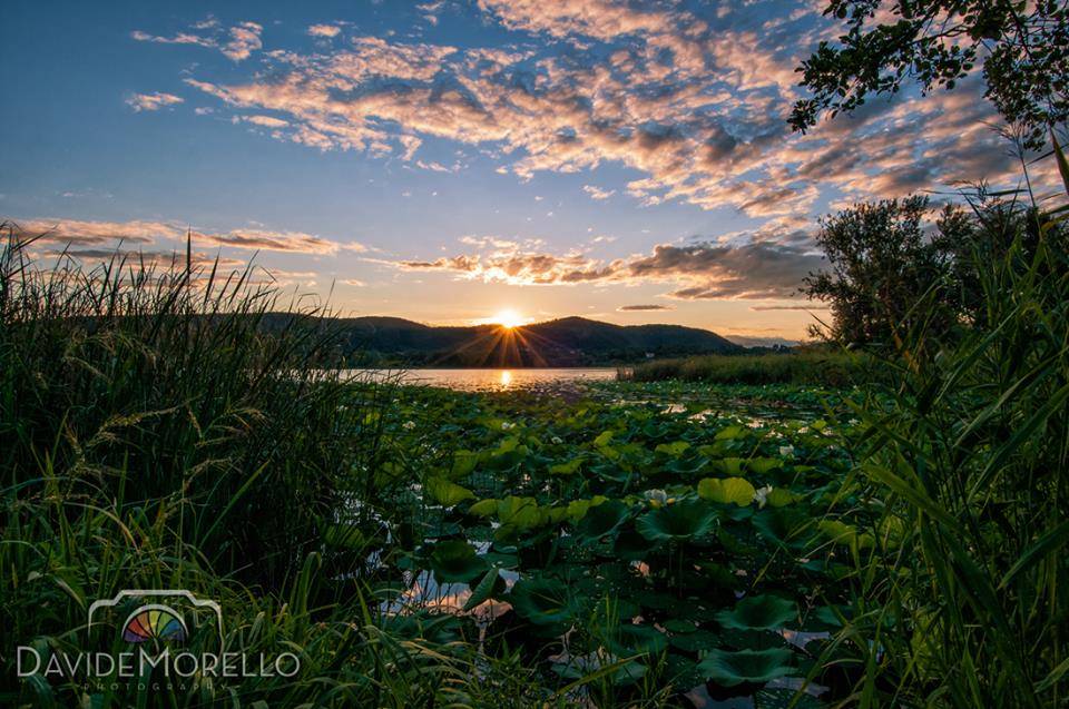 Foto del giorno del mese di agosto