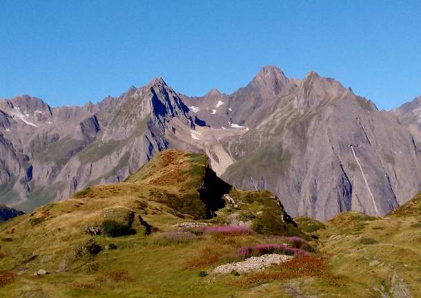 Foto del giorno del mese di agosto