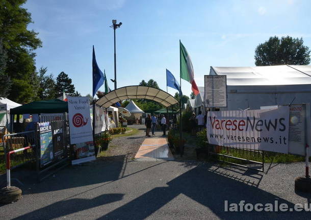 foto del giorno mese di agosto 