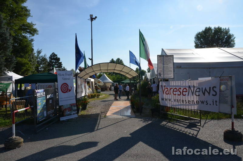 foto del giorno mese di agosto 