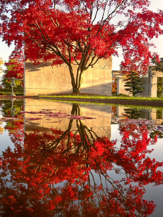 Gardens of Switzerland