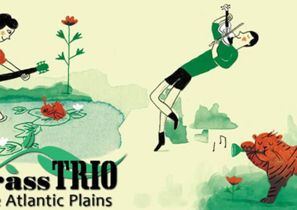 greengrass trio folk musica