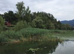 Isolino Virginia 10 agosto 2015