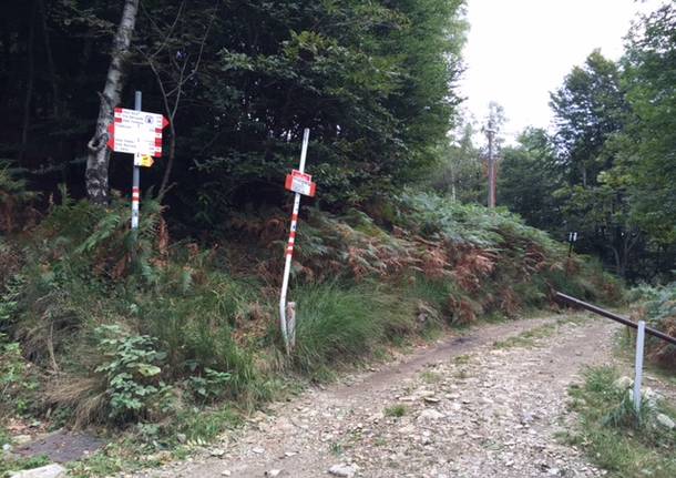 L’Alpe dei Giani e l’università dei funghi