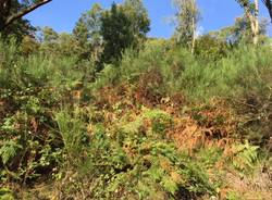 Alpe dei Giani Dumenza