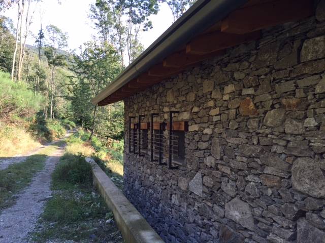 Alpe dei Giani Dumenza