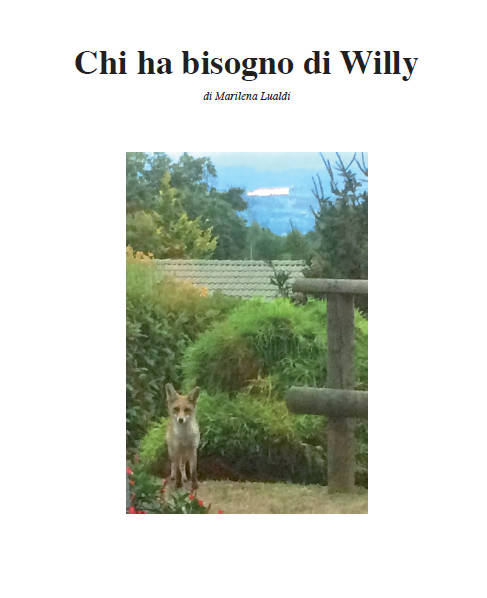 Chi ha bisogno di Willy?