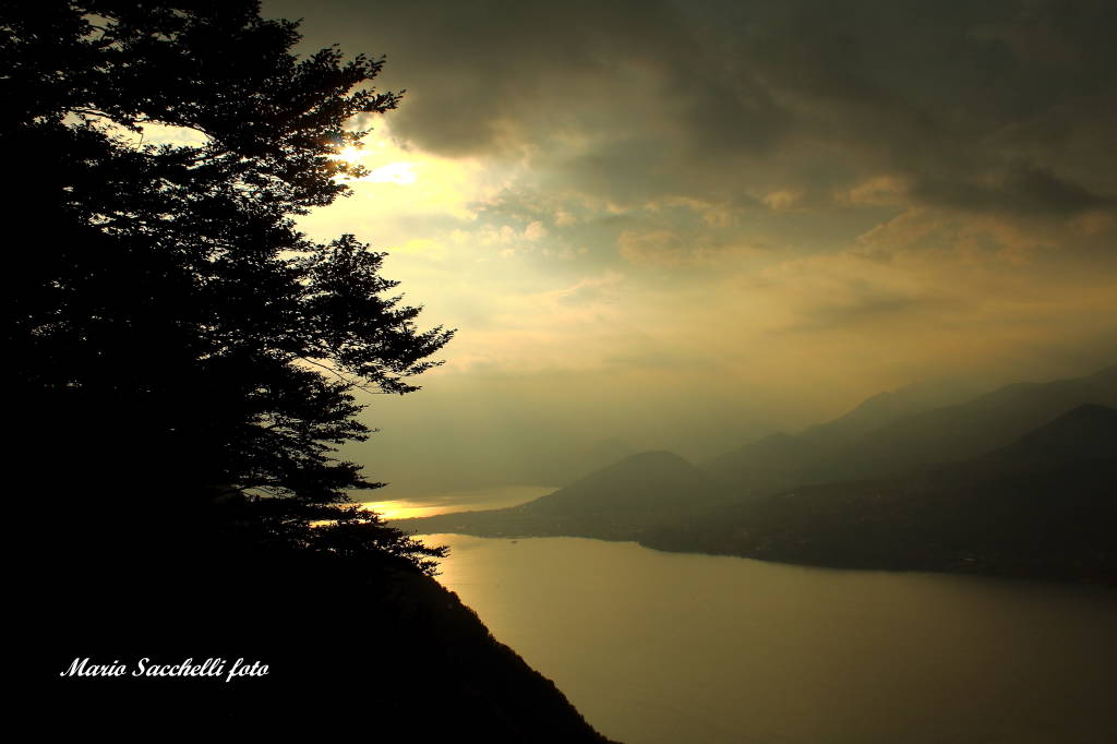 Contrasti di luce sul lago