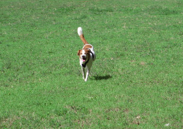 Billy