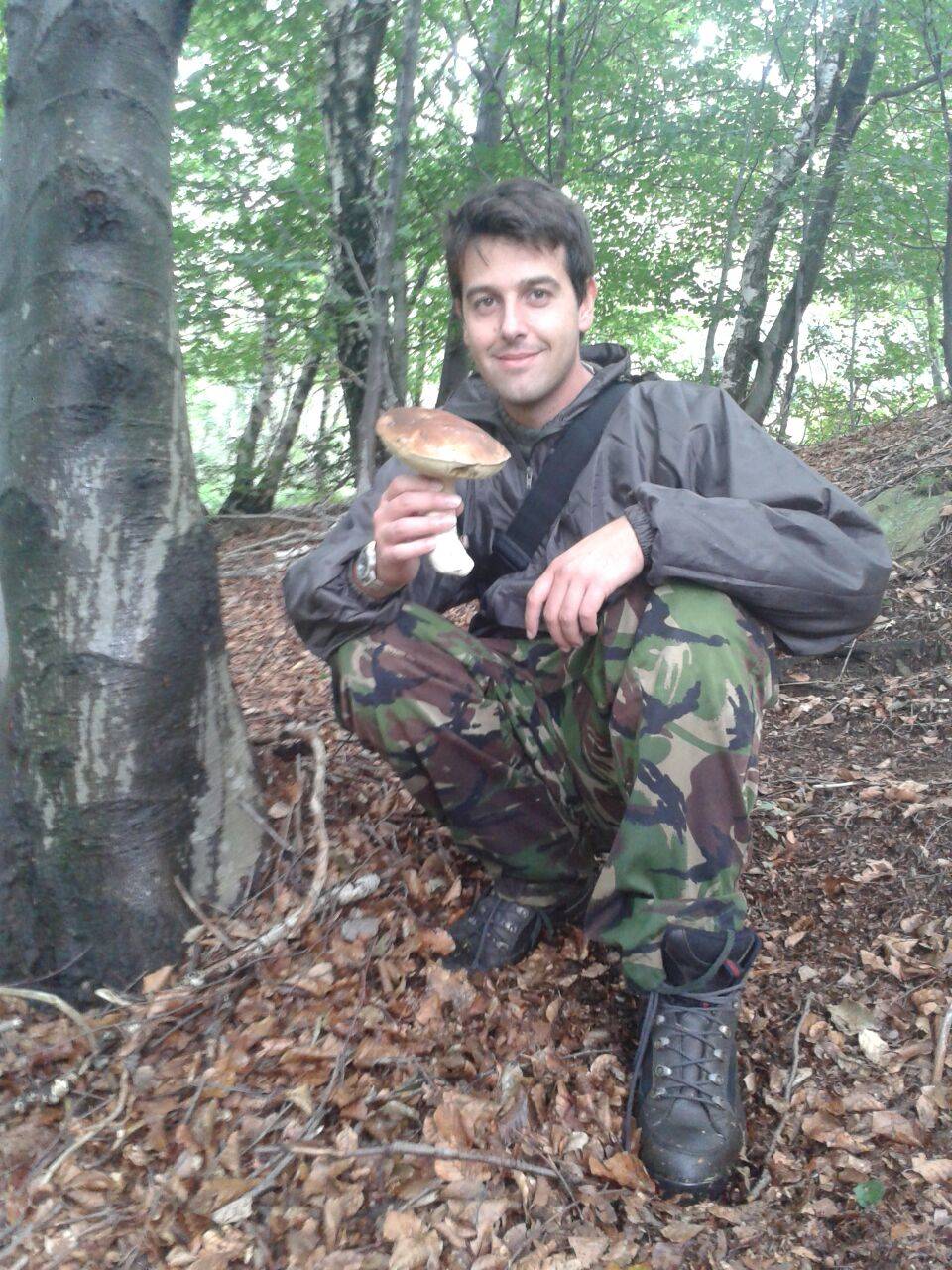 Funghi 2015