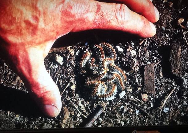 Foto del giorno del mese di settembre