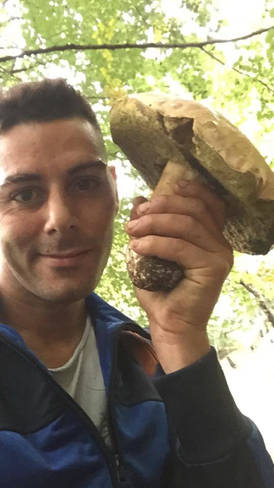 Funghi da record