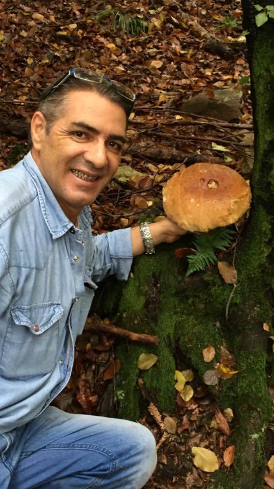 Funghi da record