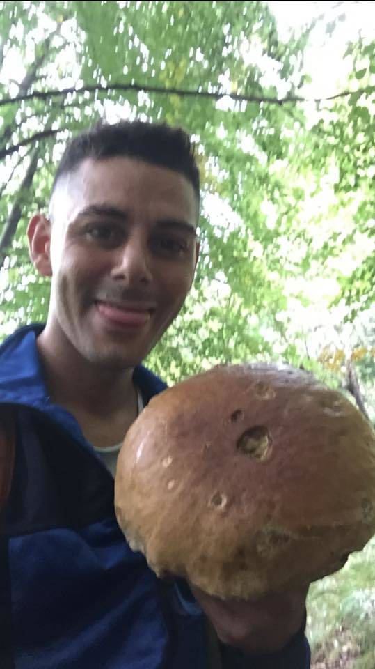 Funghi da record