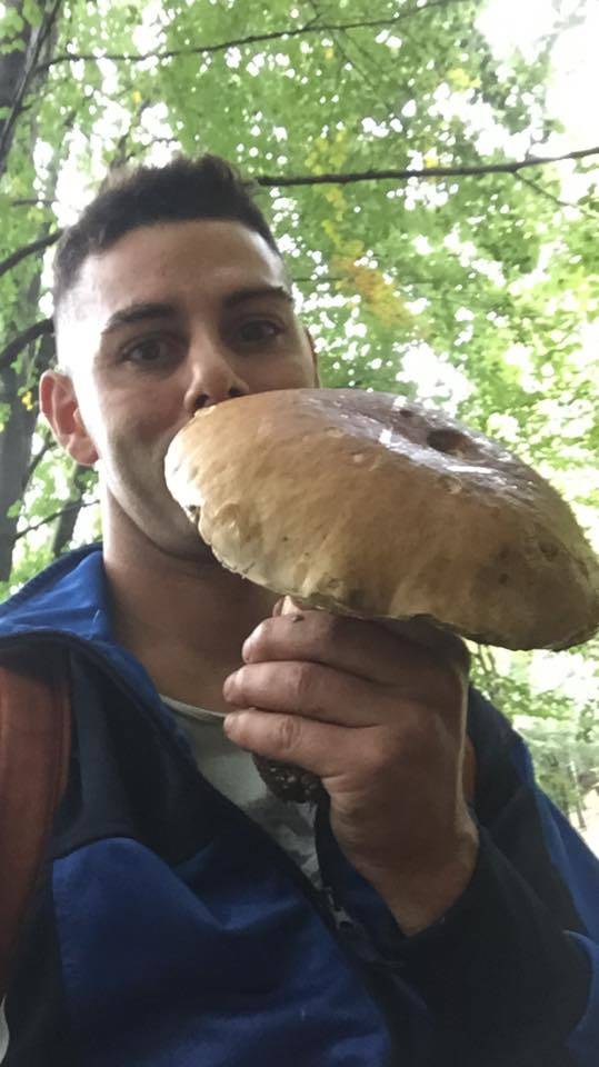 Funghi da record