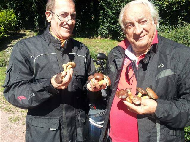 Gaetano  Edo con Funghi